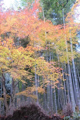 遺産